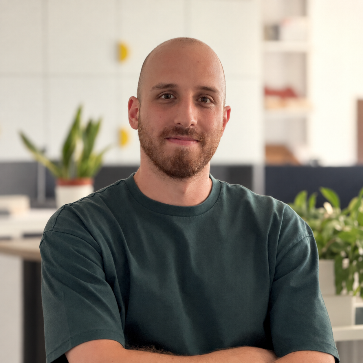 Mattia Primiano colori